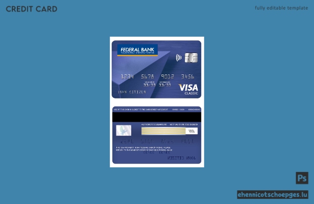 Beispielvorschau der Visa Classic Card der indischen Federal Bank